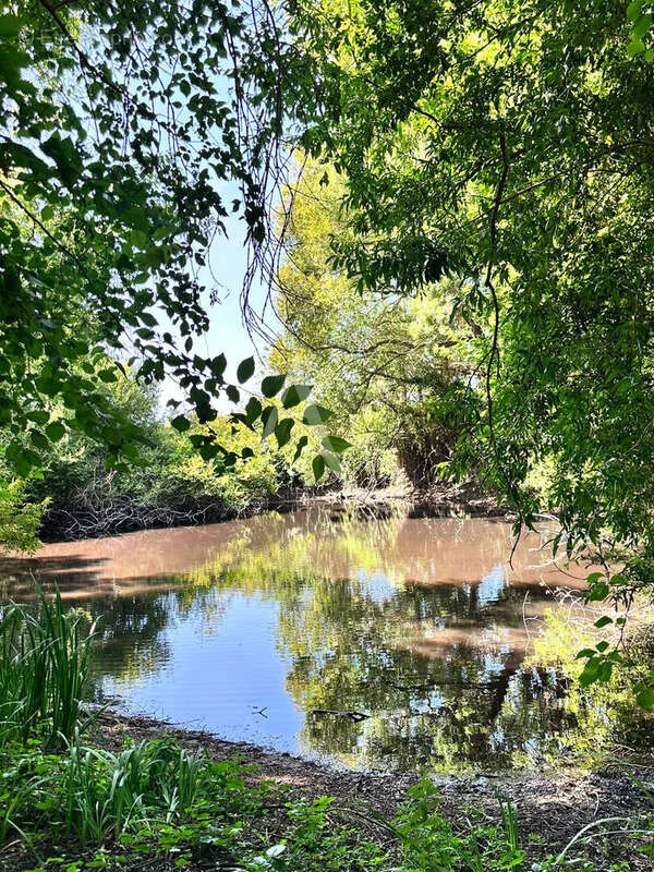 Propriété  avec moulin,  Charme et potentiel exceptionnel - photo 15