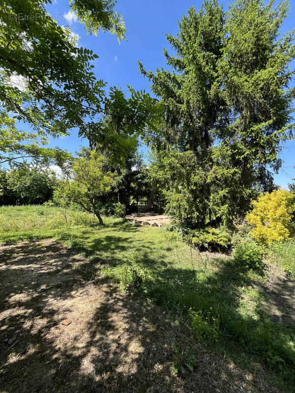 Terrain à SAUSHEIM
