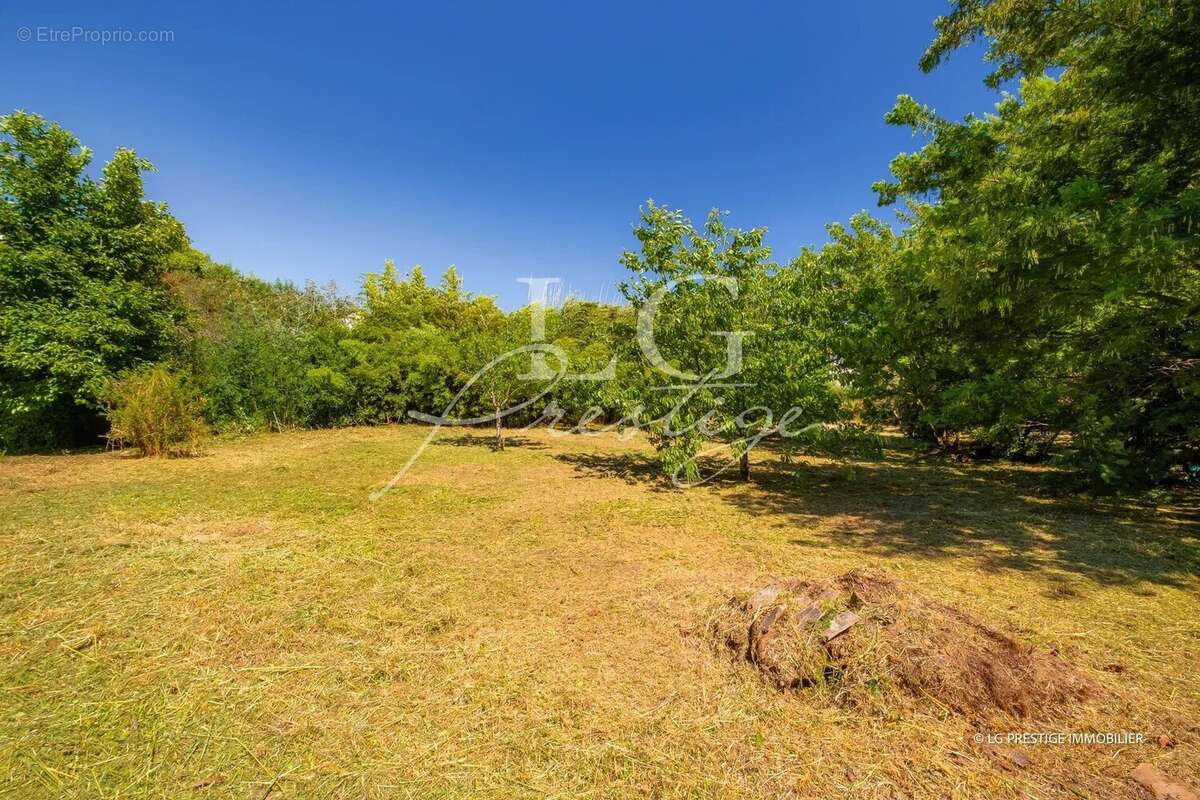 Maison à MANDELIEU-LA-NAPOULE