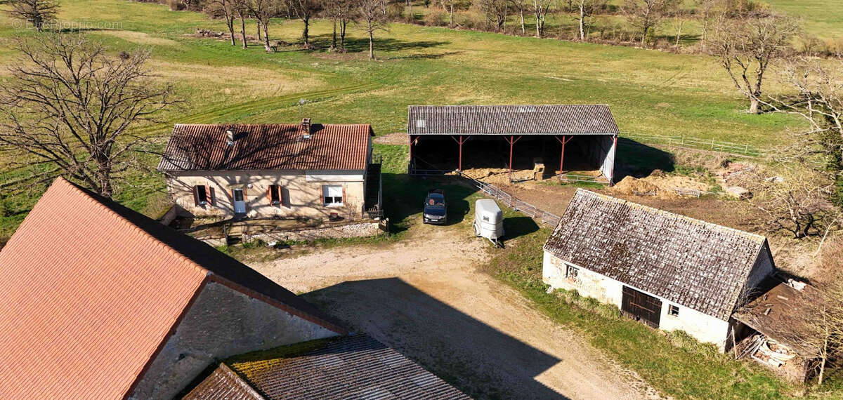 Exploitation céréalière de 170ha dans l'Allier (03) - photo 3