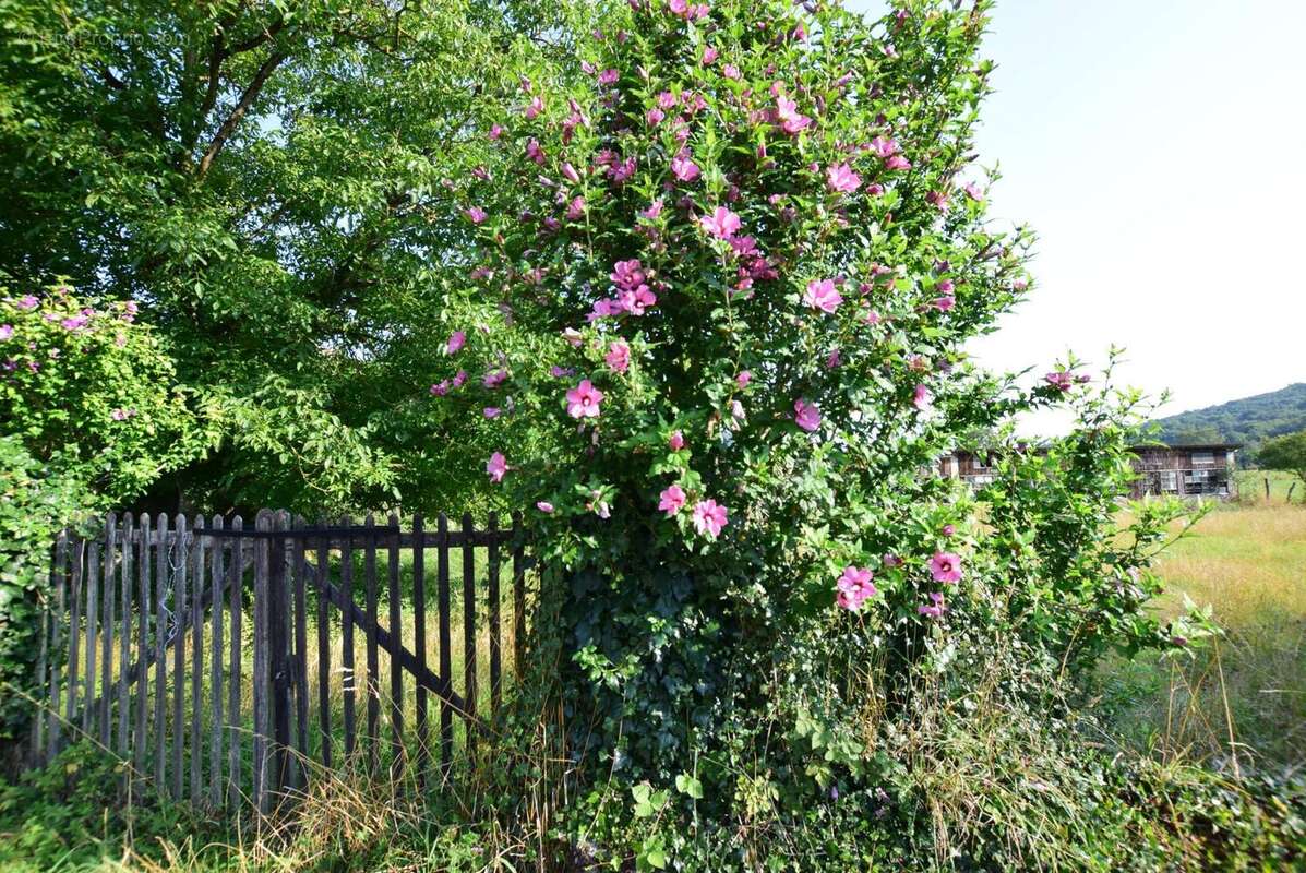 DSC_0504 - Terrain à SALIES-DU-SALAT