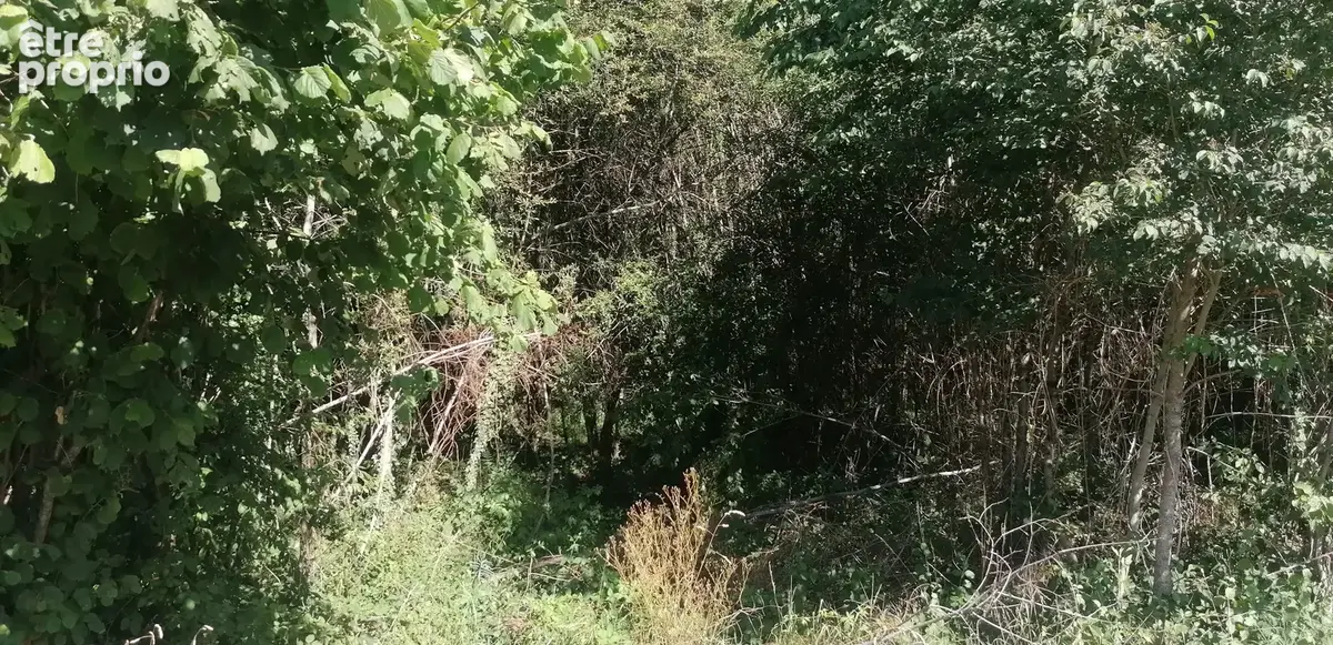 Terrain de 1810 m² à Piégut-Pluviers - photo 2