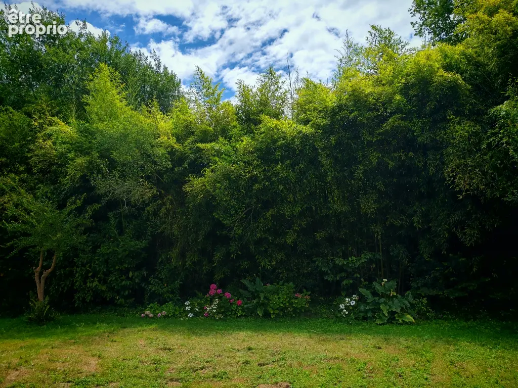 Maison  de maitre Pouillon  376 m2 Centre Village - photo 13
