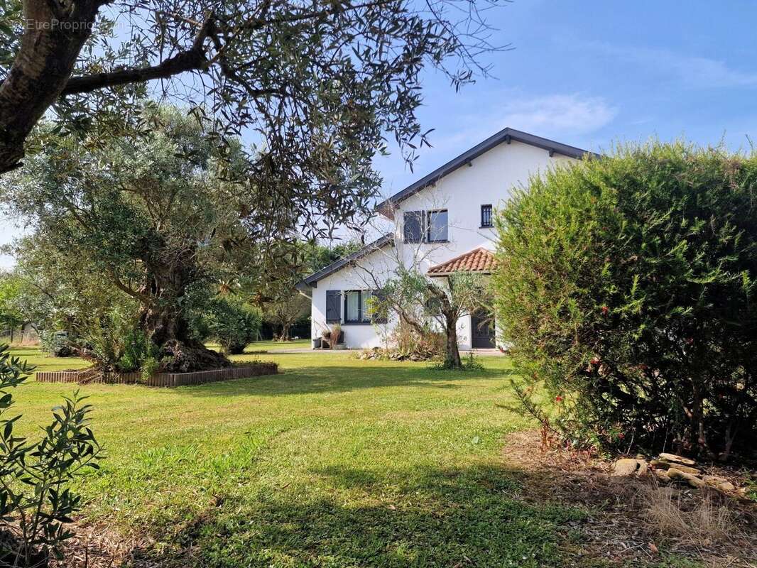 Maison à PUYOO