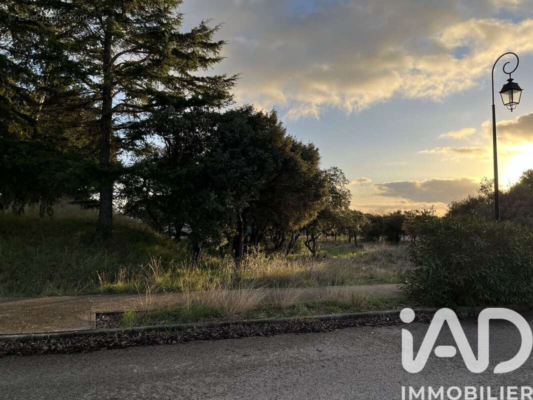 Photo 8 - Terrain à SAINT-MAXIMIN