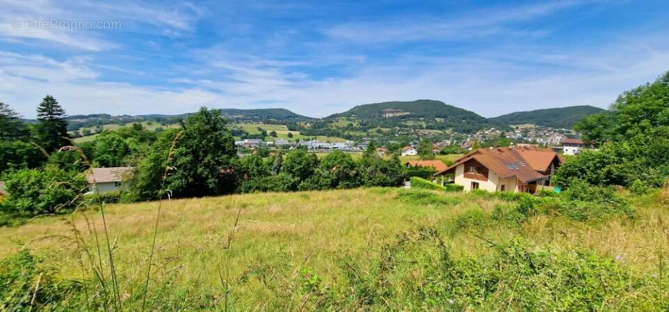 Terrain à VILLY-LE-PELLOUX