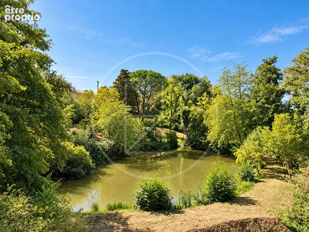 Maison en pierre rénovée avec annexe, piscine et étang privé - photo 18