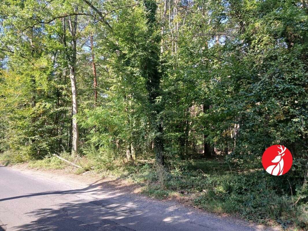 Terrain à MONTIGNY-SUR-LOING