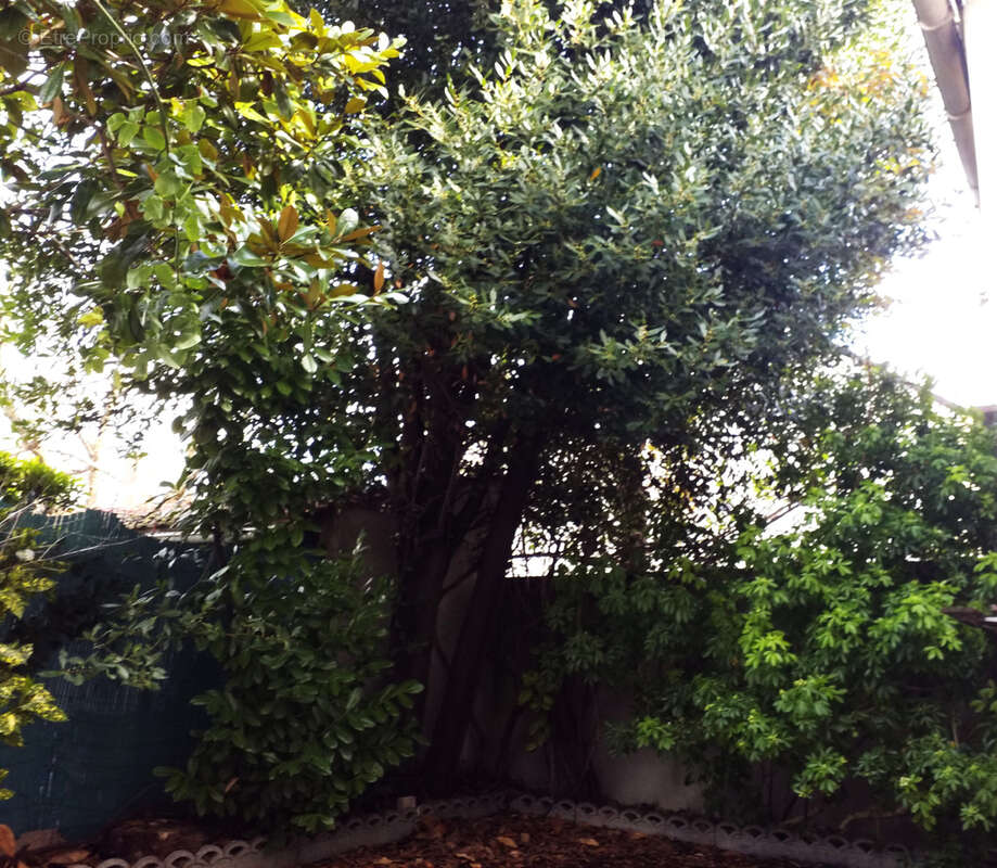 Appartement à SAINT-DENIS