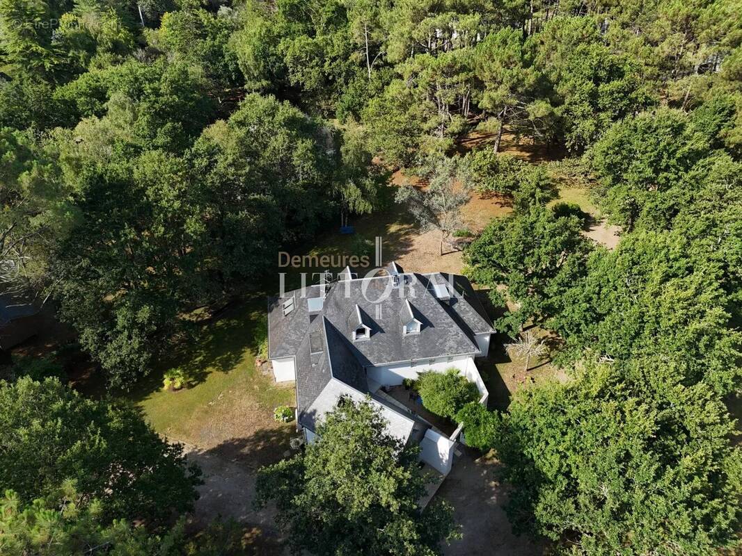 Villa entourée de pins maritimes - photo 2