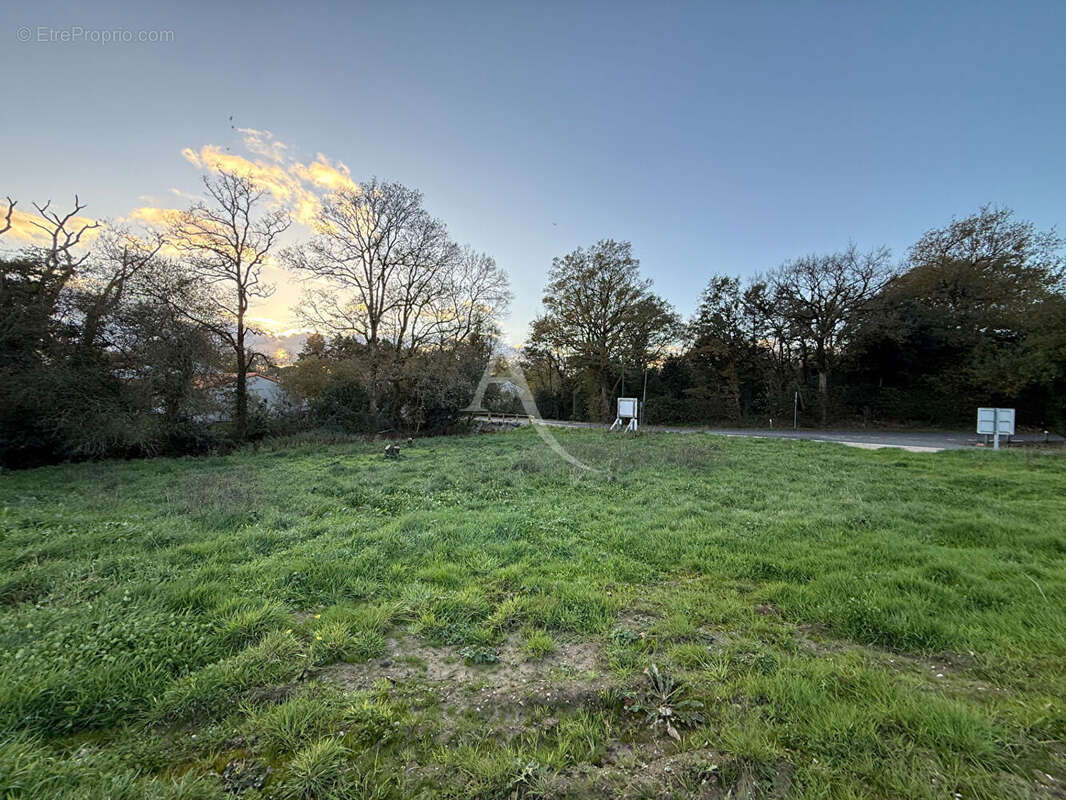 Terrain à SAINT-MAIXENT-SUR-VIE