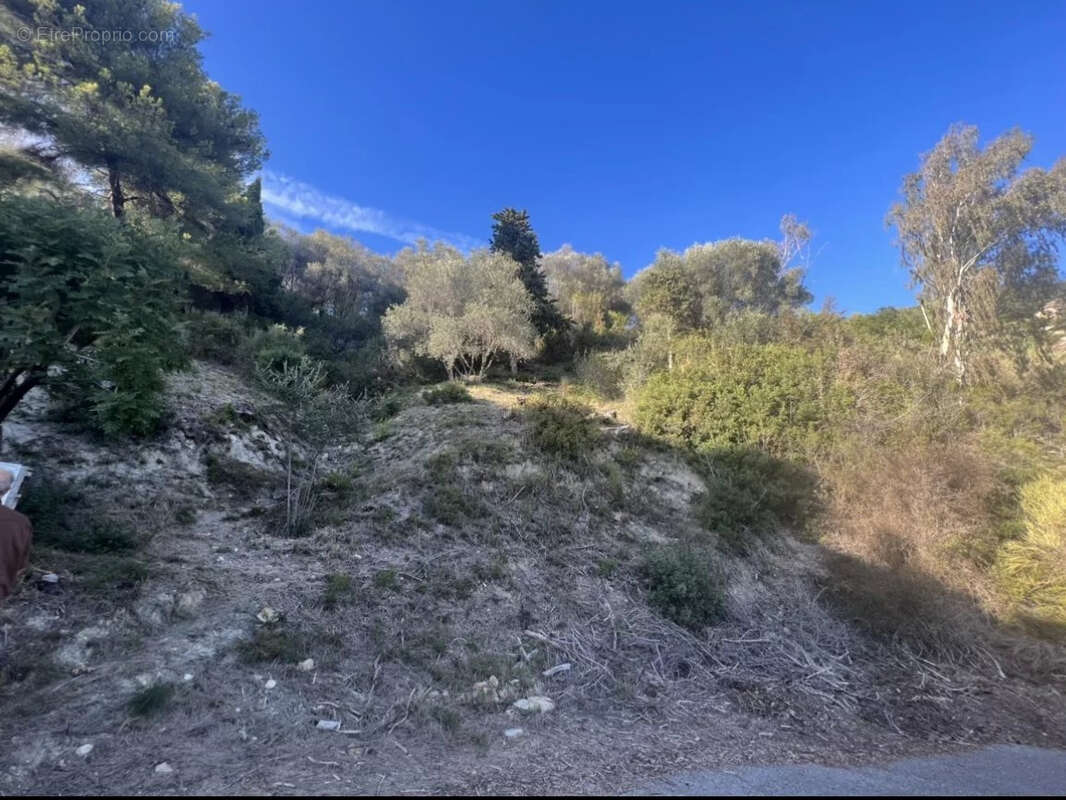 Rare- terrain constructible menton garavan-vue panoramique mer- permis construire accordé maison- - photo 4