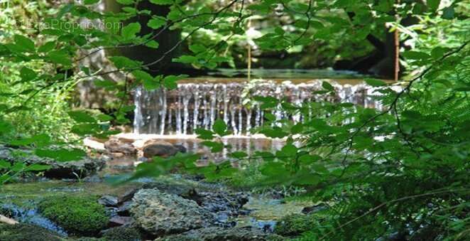 Photo 7 - Maison à LA SALVETAT-SUR-AGOUT