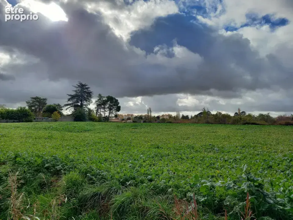 Terrain à GAILLAC