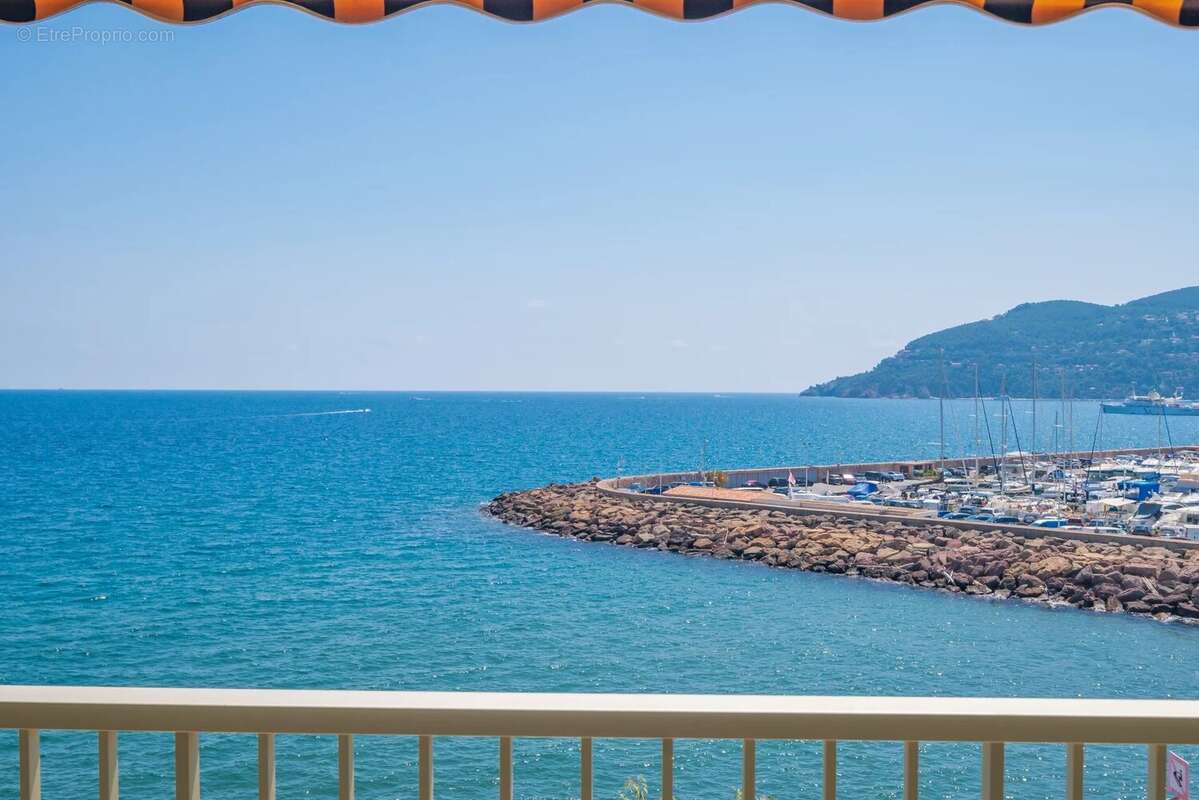 Grand Appartement Pieds dans l'Eau, Vue Panoramique - photo 19