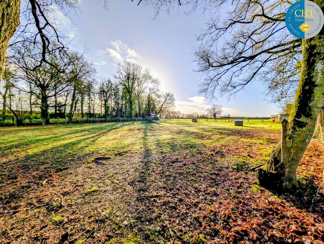 Maison à LES BRULAIS