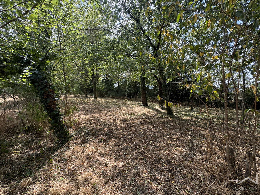 Authentique longère en pierre avec près de 5 000 m2 de terrain  -  Guichen - sans vis a vis - photo 11