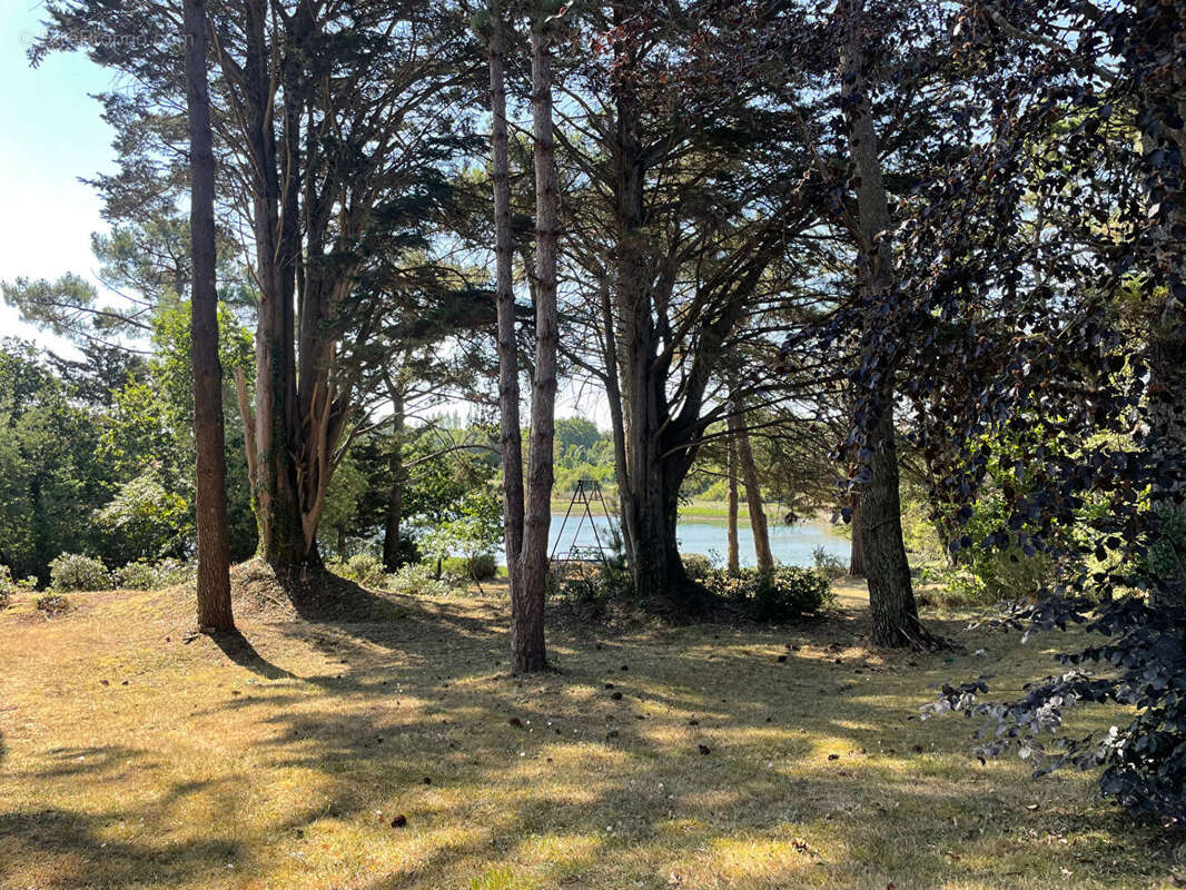 Saint-Philibert ? Propriété d'exception avec moulin sur l'eau et vue mer - photo 5