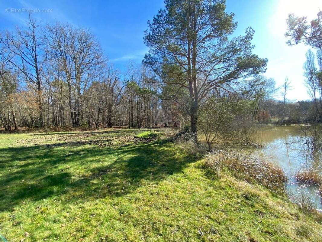 Terrain à SAINT-BRISSON-SUR-LOIRE