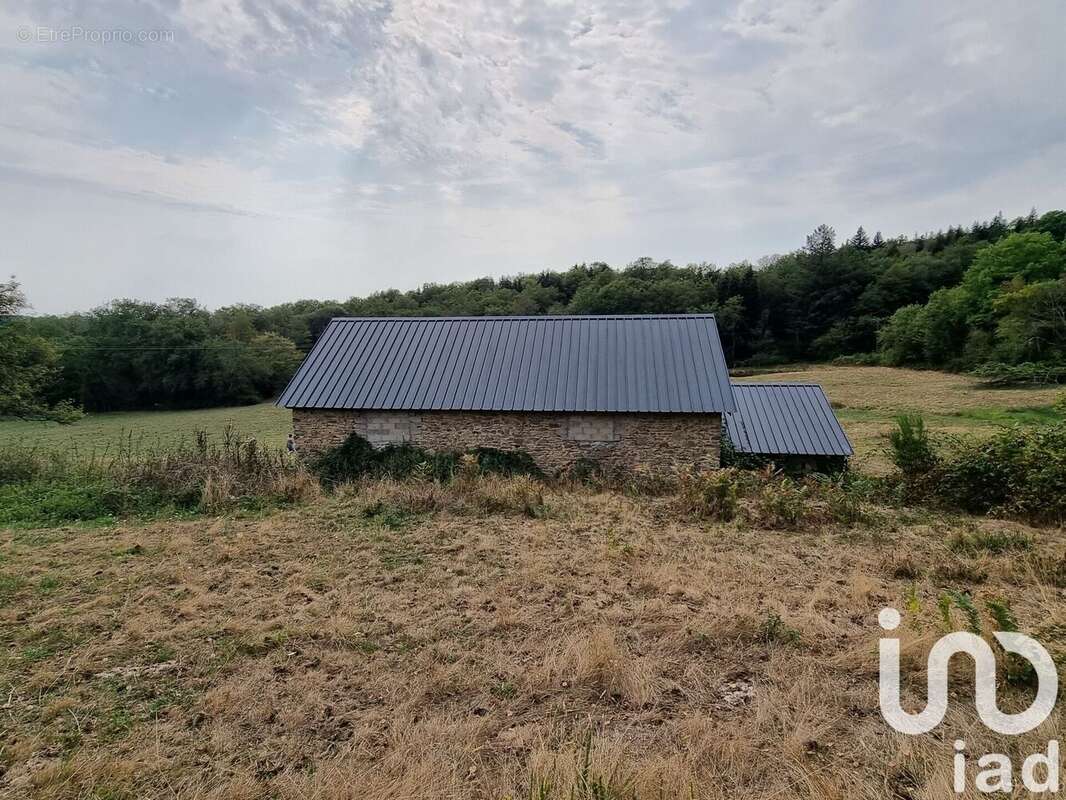 Photo 7 - Maison à JUILLAC