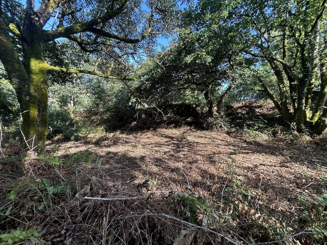 Terrain à QUISTINIC