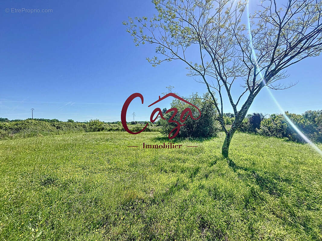 Terrain à CARIGNAN-DE-BORDEAUX