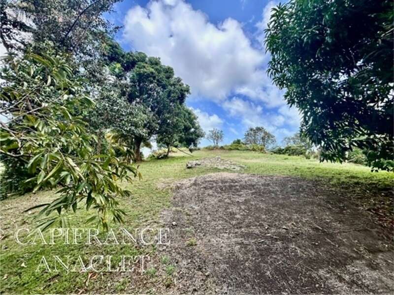 Terrain à LA TRINITE