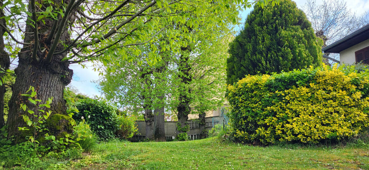 Terrain à PALAISEAU