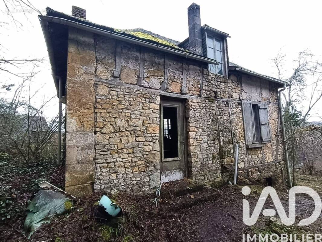 Photo 1 - Maison à TERRASSON-LAVILLEDIEU