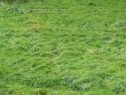 Terrain à MIRECOURT