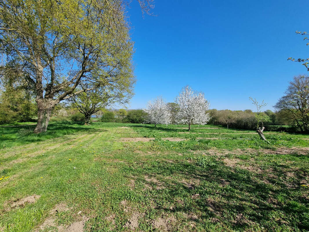 Propriété en campagne ! - photo 17