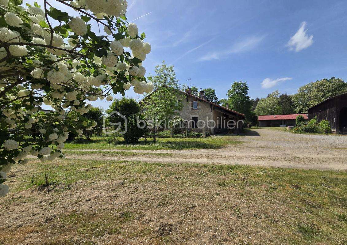 Maison landaise au cœur de la nature - photo 12