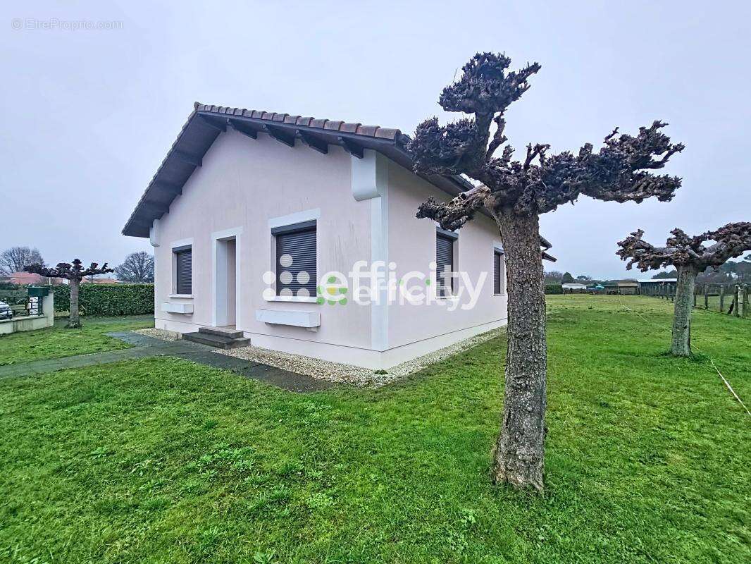 Maison 110 m² à Mimizan  - photo 3