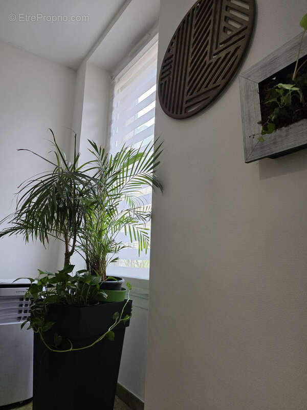 Appartement à MARSEILLE-3E