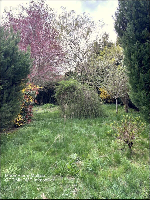 Maison familiale de 7 pièces à BOURGANEUF (23) - photo 25