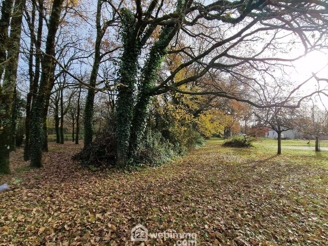 Terrain à VENANSAULT