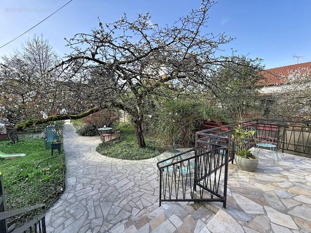 Maison à MAISONS-ALFORT