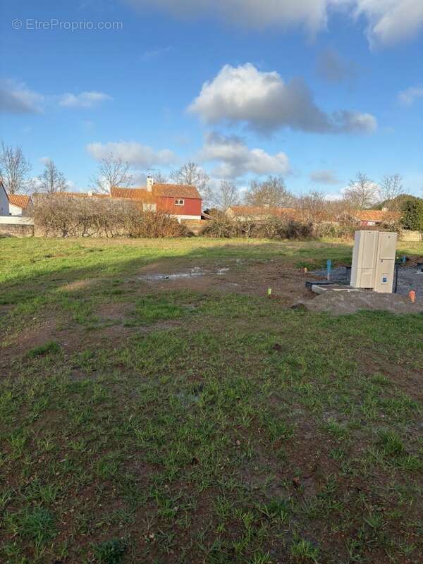 Terrain à SAINT-VIAUD