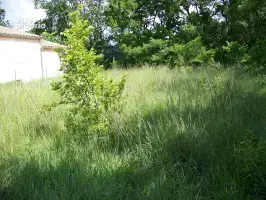 Terrain à LUSSAN