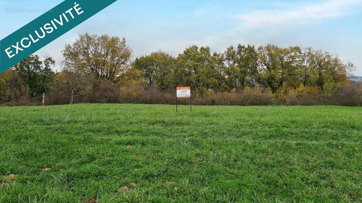 Photo 2 - Terrain à CHATRES
