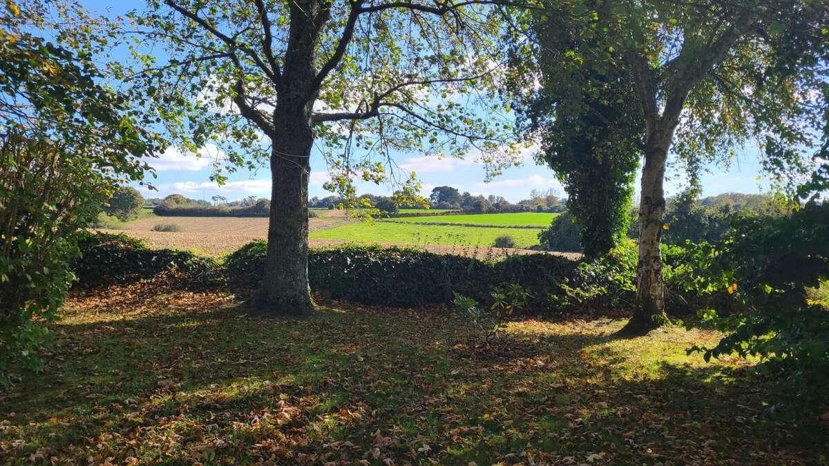 Magnifique longère - photo 9