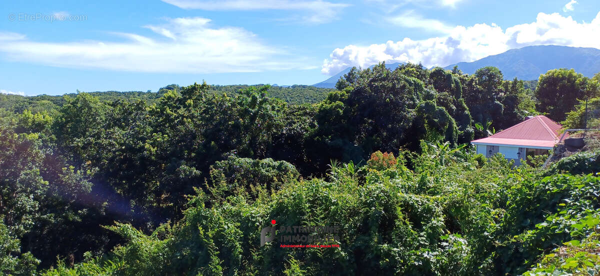 Terrain de 1048 m2 a vendre a goyave - photo 3