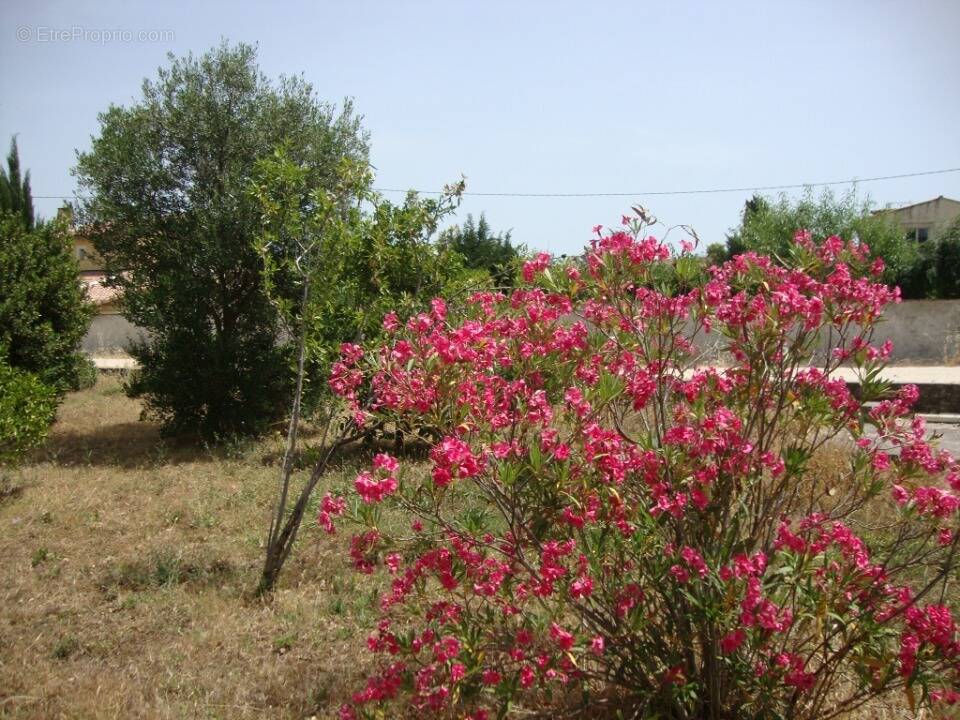 Terrain à LA CRAU