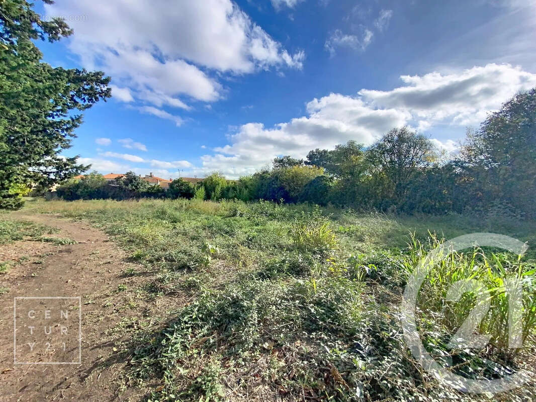 Terrain à TOULOUGES