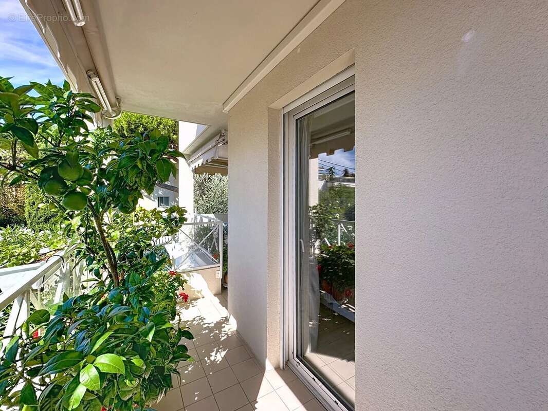 Basse californie 3p 86 m²  piscine terrasse de 25 m² - photo 9