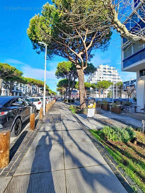 Commerce à LA GRANDE-MOTTE