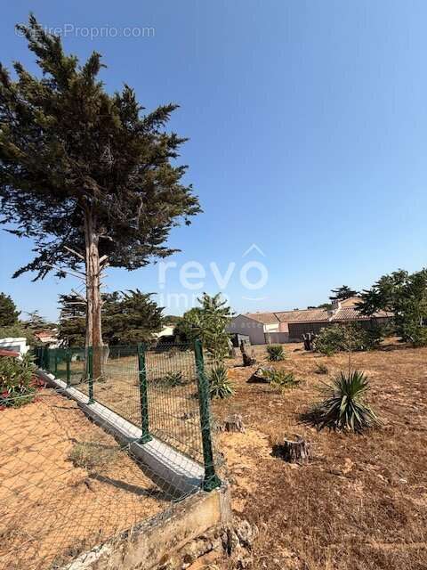 Terrain bord de mer - photo 5