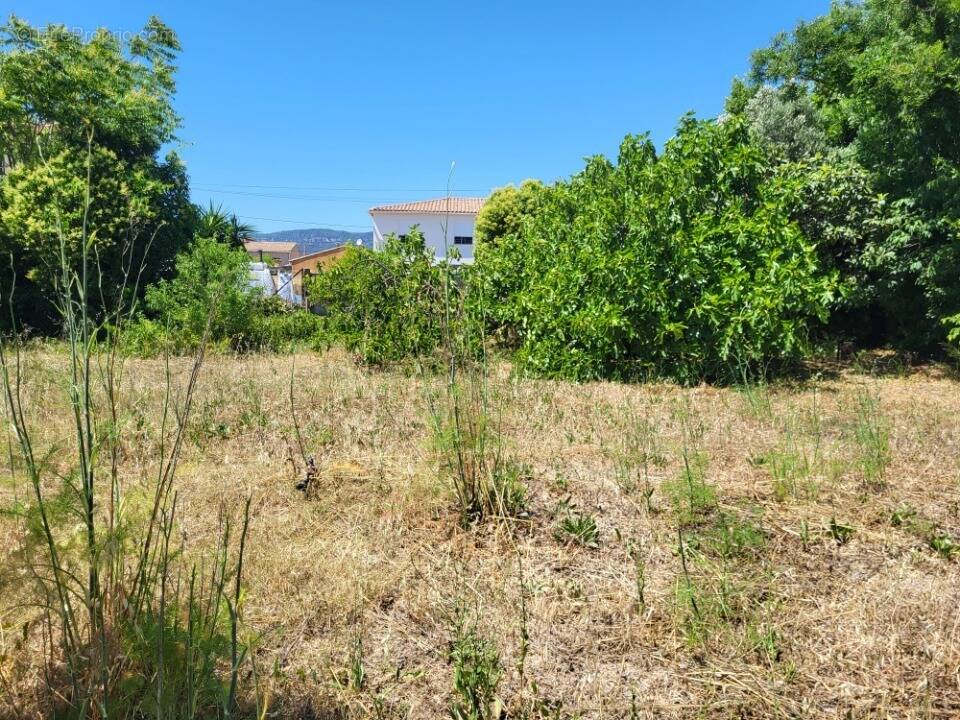 Terrain à LA CRAU