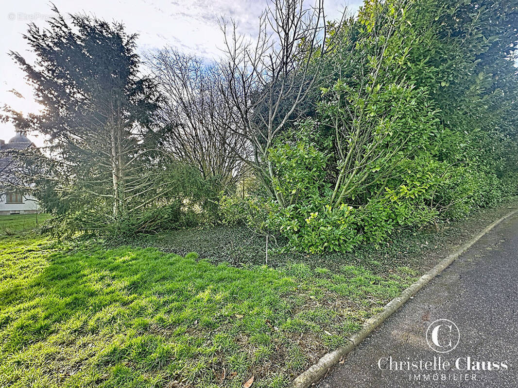 Terrain à SCHNERSHEIM