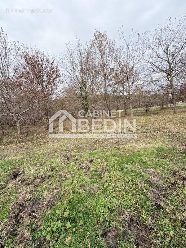 Terrain à AUREILHAN